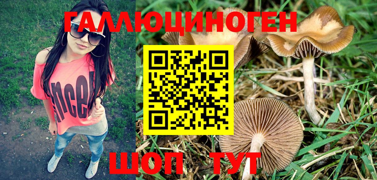 Галлюциногенные грибы ЛСД Орёл